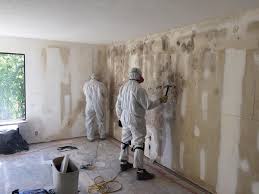 Environmental Consulting for Mold Prevention in Brooklyn Center, MN